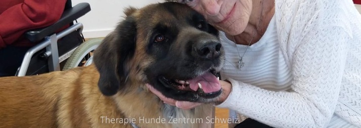 Therapie Hunde Zentrum Schweiz 0120 007