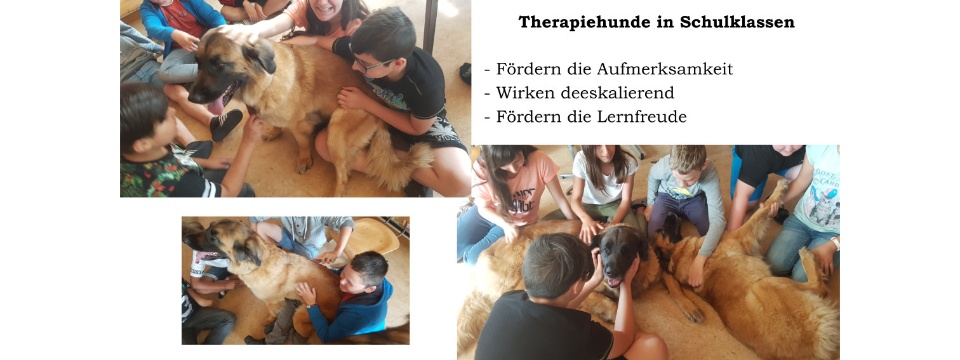 Therapiehunde Zentrum Schweiz 0003