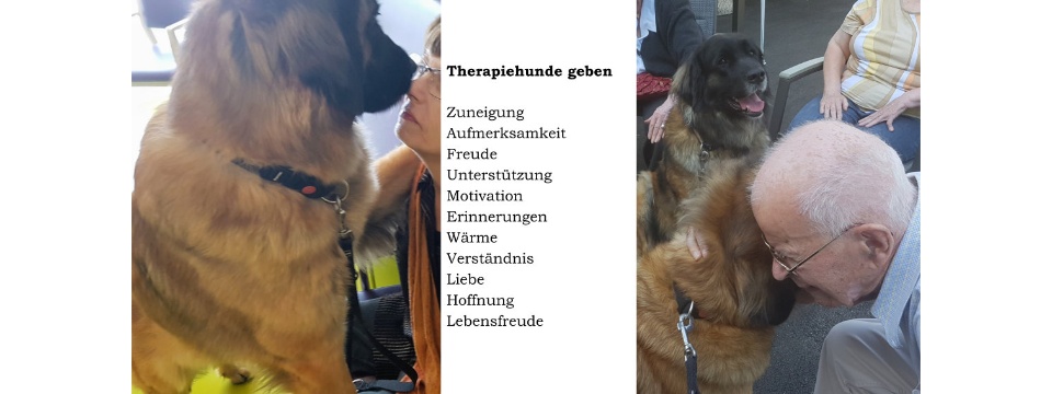 Therapiehunde Zentrum Schweiz 0005