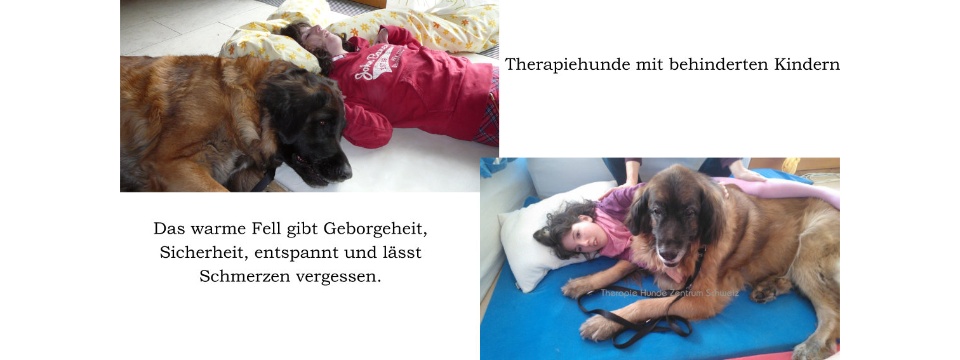 Therapiehunde Zentrum Schweiz 0008