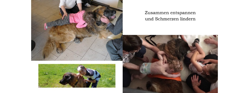 Therapiehunde Zentrum Schweiz 0010