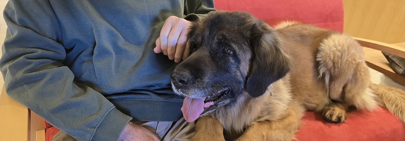 Therapiehundezentrum ch 0526 002