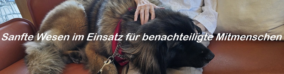 F Therapie Hunde Zentrum Schweiz 2026