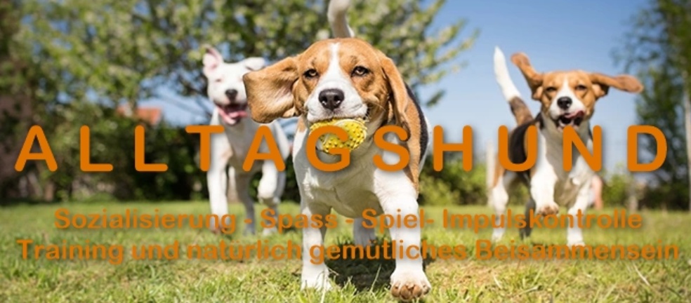 Alltagshund 009